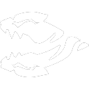 プラウラー