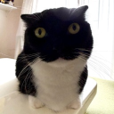 ままだいすき