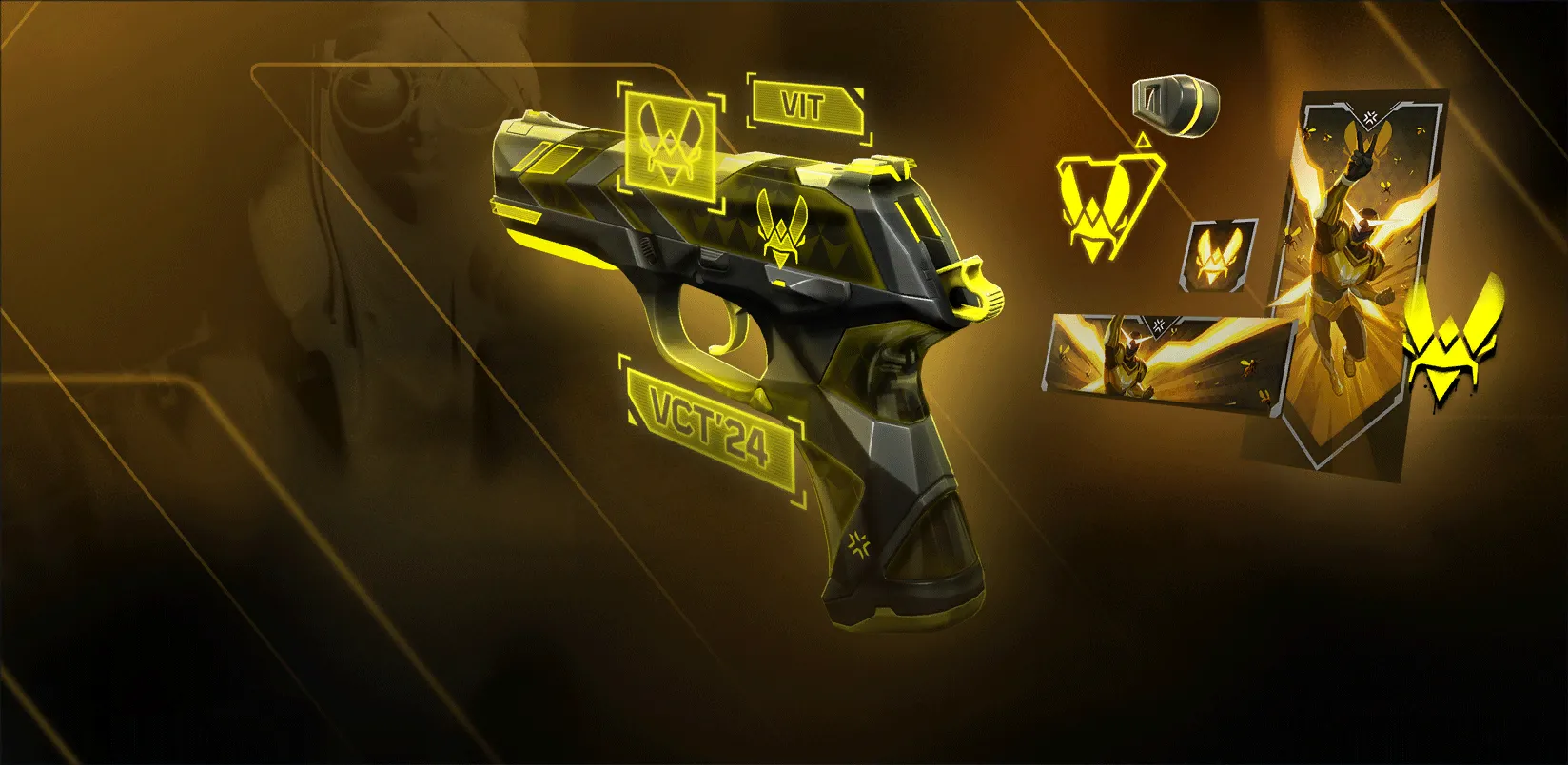 VCT x VIT Image 2