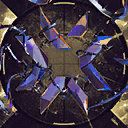 Champions 2024 カード メインアイコン